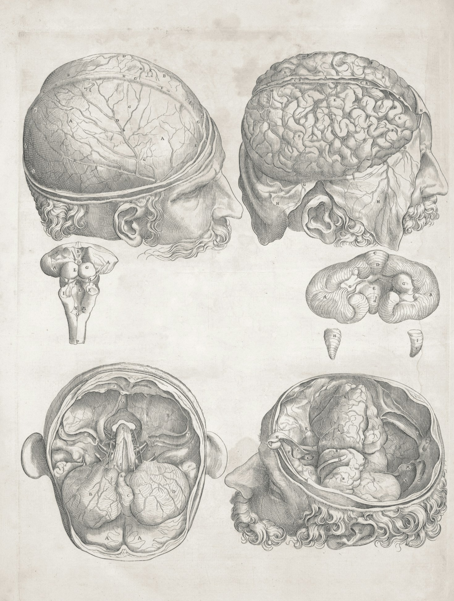 The Intersection of Business and Psychology