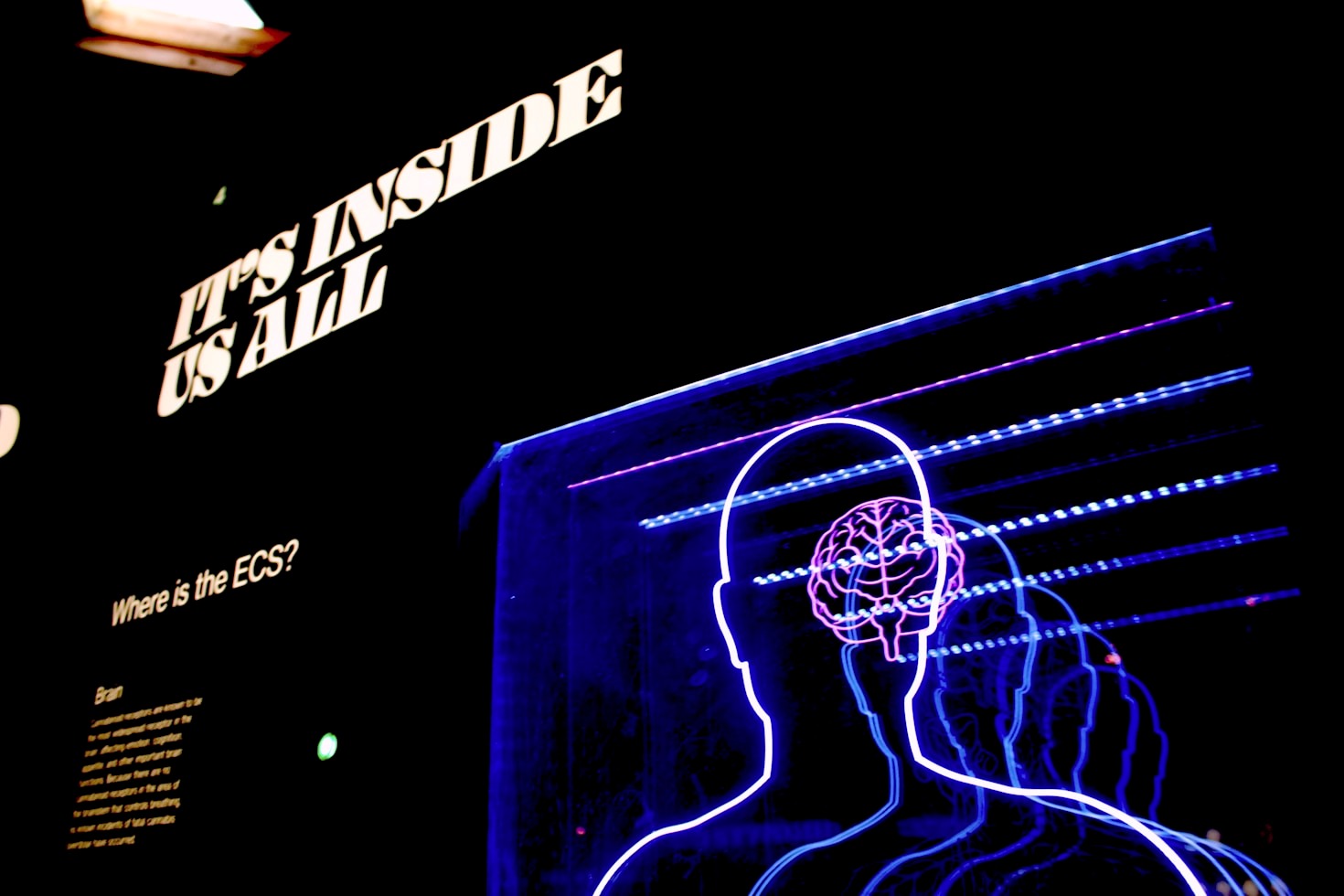Exploring the Psychology Behind Decision-Making